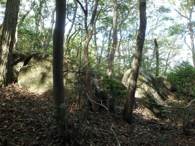 takataki094.jpg