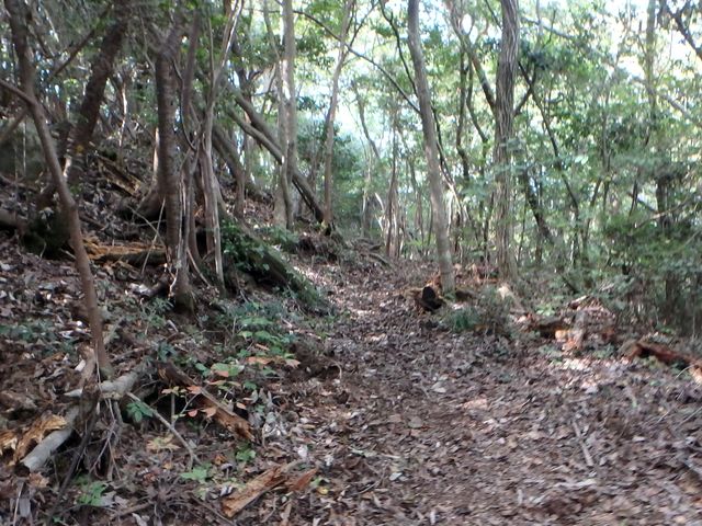 takataki095.jpg