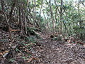 takataki095_thumb.png