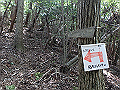 takataki097_thumb.png