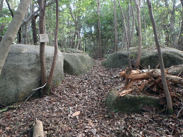 takataki098.jpg