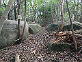 takataki098_thumb.png