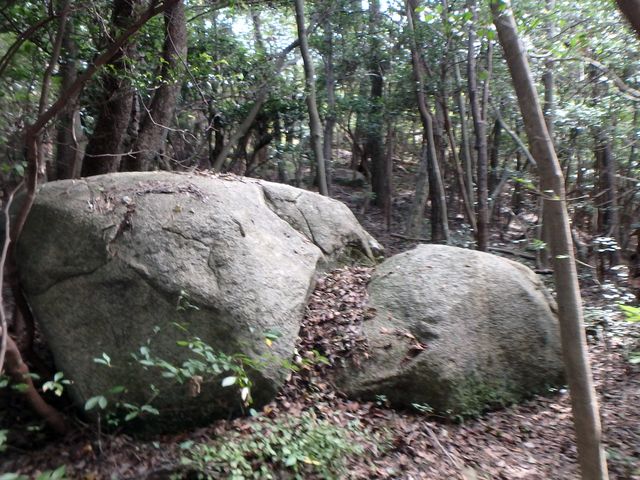 takataki099.jpg