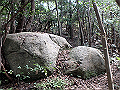 takataki099_thumb.png