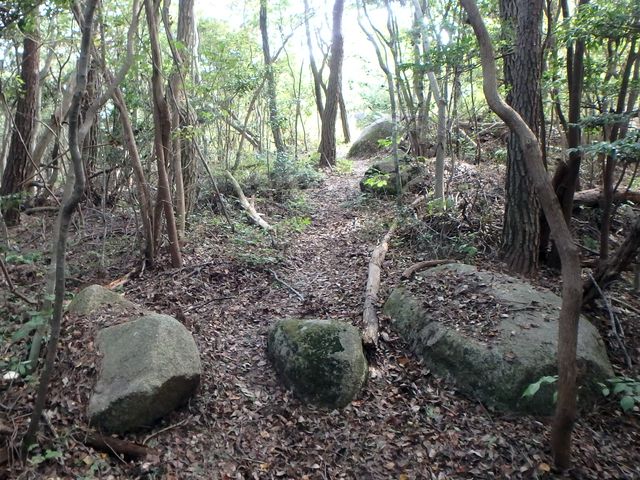 takataki100.jpg