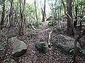 takataki100_thumb.png