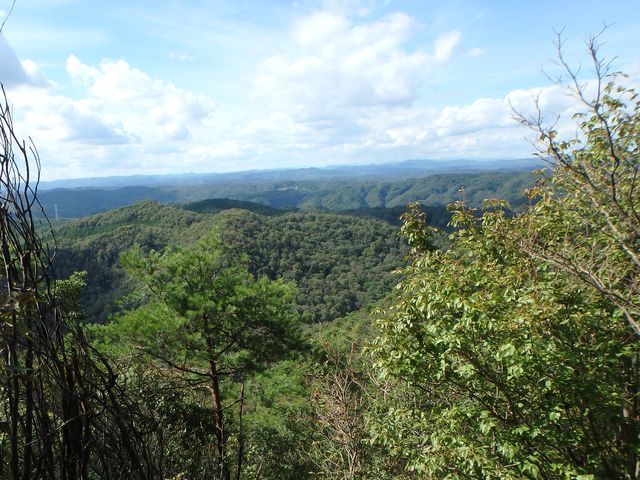 takataki108.jpg