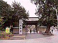 tenen01_thumb.png
