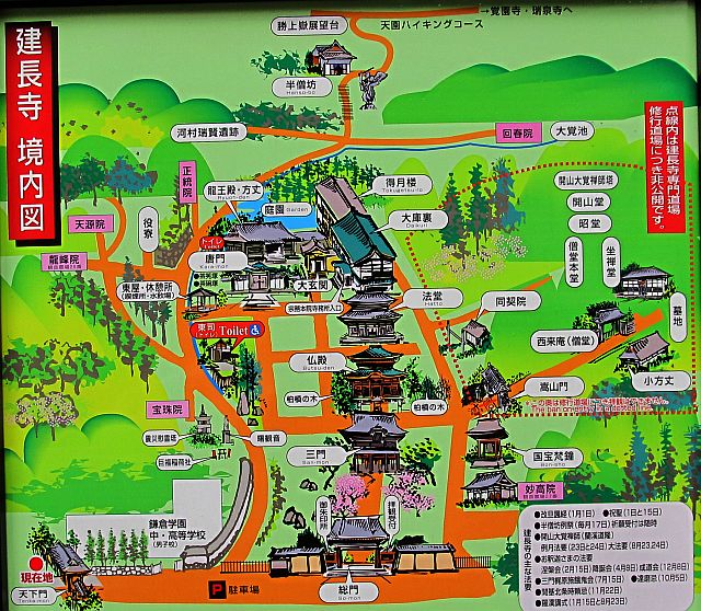tenen02.jpg