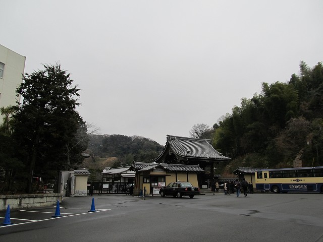 tenen03.jpg