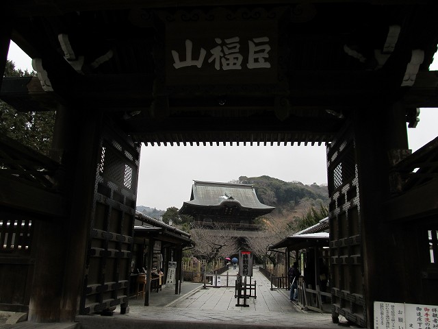 tenen04.jpg