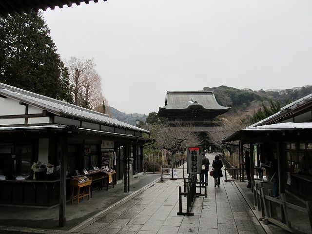 tenen05.jpg