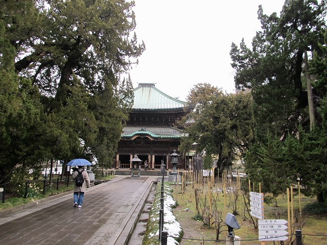 tenen07.jpg