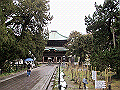 tenen07_thumb.png