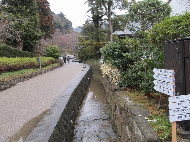 tenen10.jpg