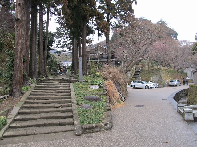 tenen11.jpg