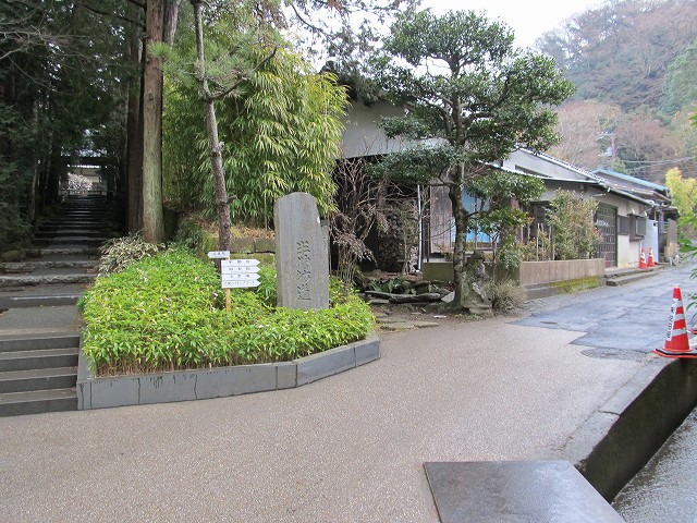 tenen12.jpg