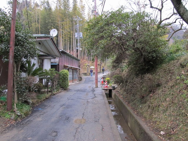 tenen13.jpg