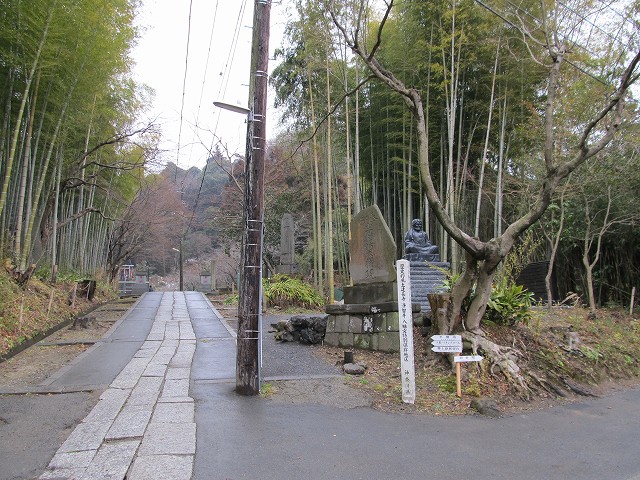 tenen14.jpg