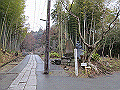 tenen14_thumb.png