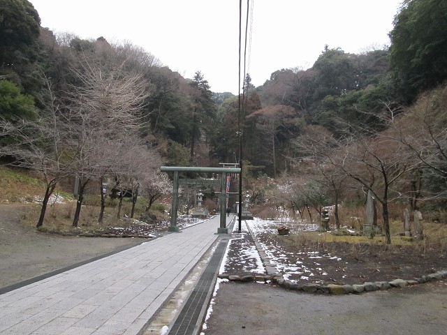 tenen15.jpg