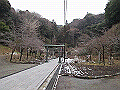 tenen15_thumb.png