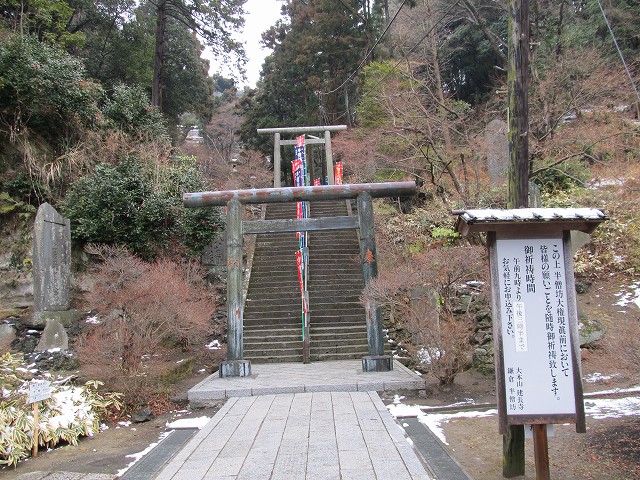 tenen16.jpg