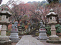 tenen18_thumb.png