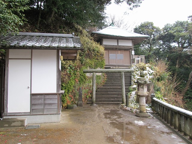 tenen23.jpg