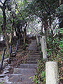 tenen27_thumb.png