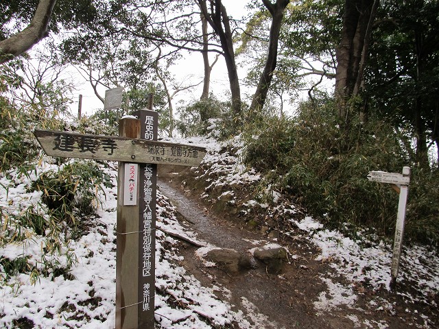 tenen31.jpg