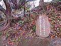 tenen39_thumb.png