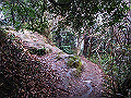tenen40_thumb.png