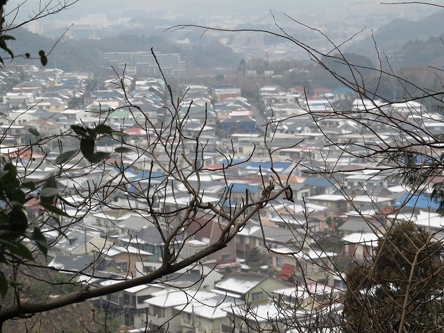 tenen41.jpg