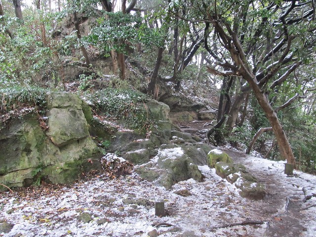 tenen42.jpg