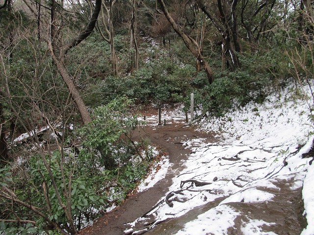 tenen46.jpg