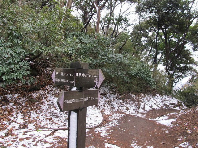 tenen47.jpg