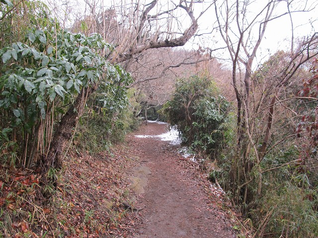 tenen54.jpg