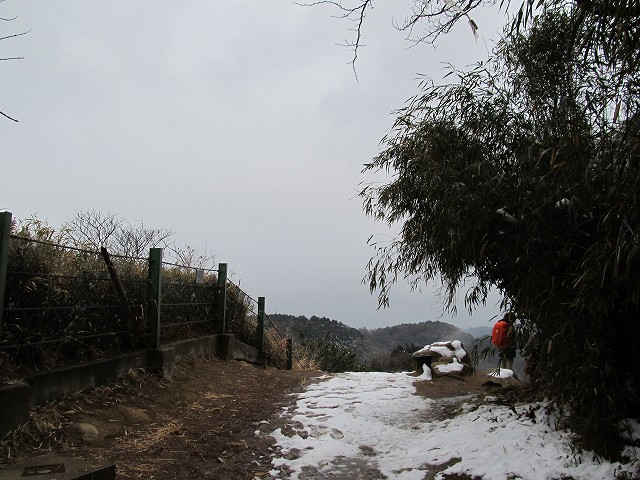 tenen59.jpg