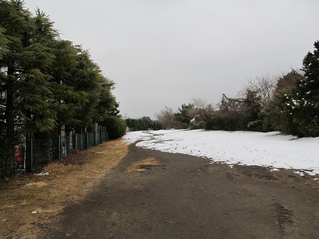 tenen62.jpg
