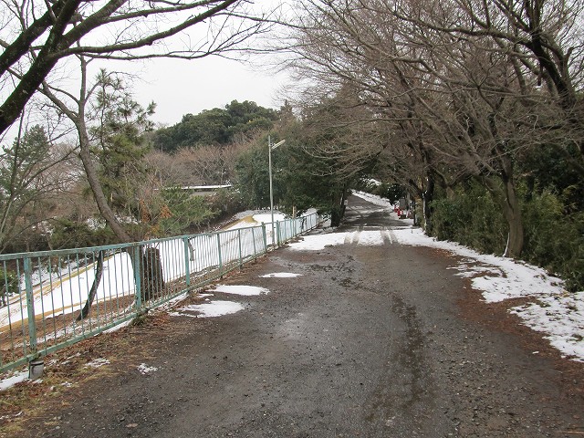 tenen63.jpg