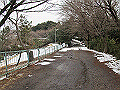 tenen63_thumb.png