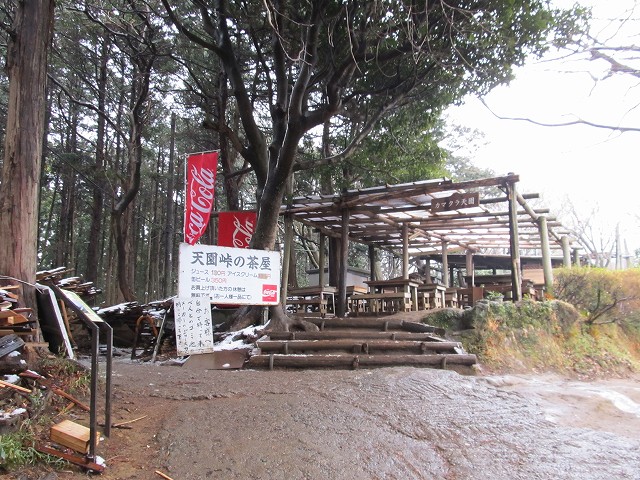 tenen65.jpg