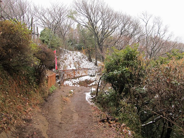 tenen67.jpg
