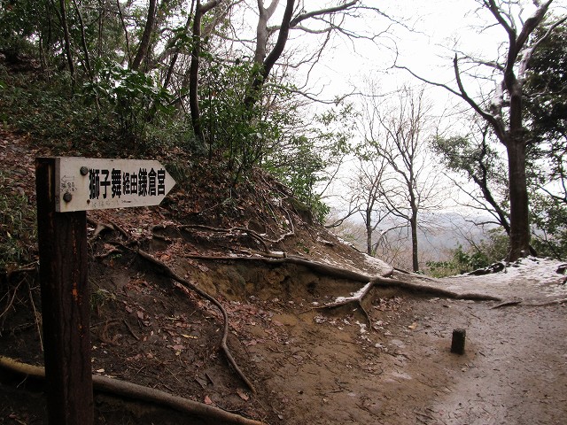tenen68.jpg