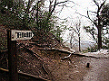 tenen68_thumb.png