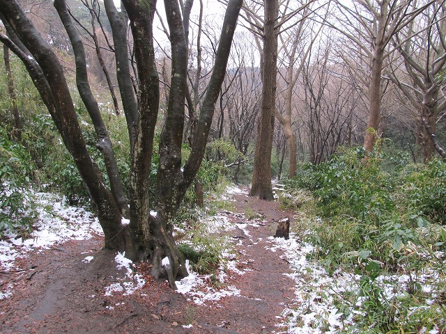 tenen70.jpg