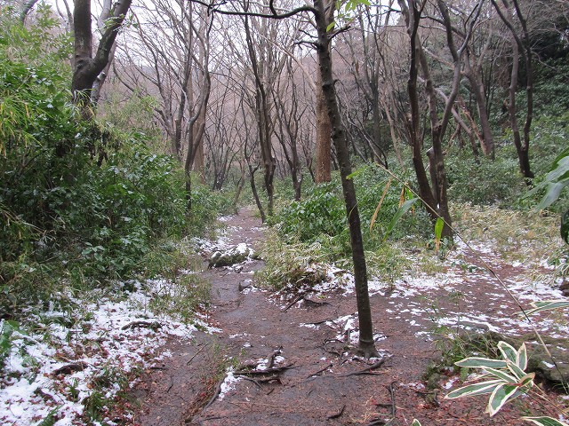 tenen71.jpg