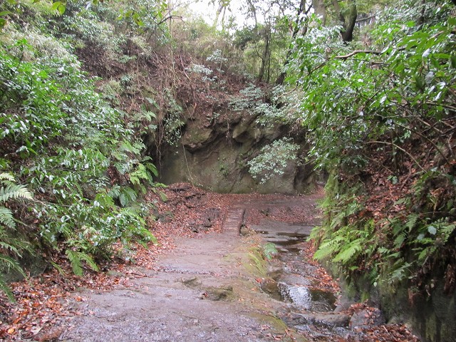 tenen78.jpg