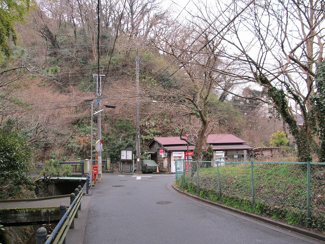tenen81.jpg